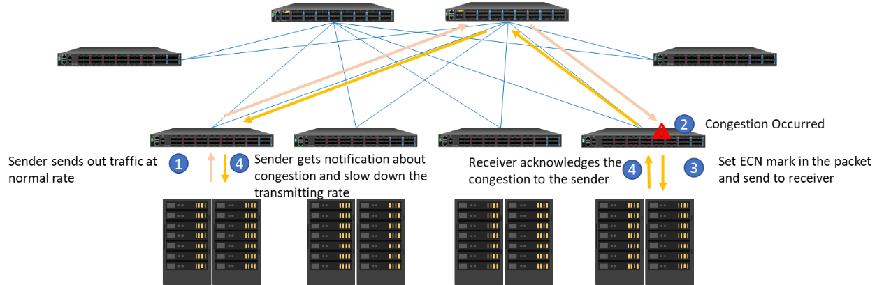 ECN Working Flow