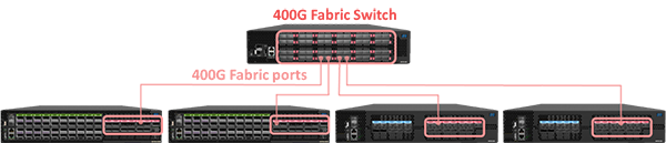 Distributed Disaggregated Chassis Fabric Connection